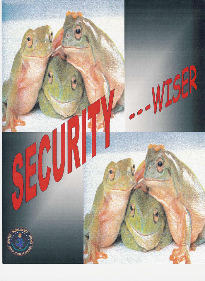 Security_wiser.jpg